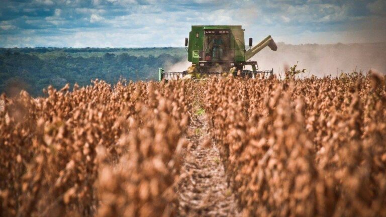 El Gobierno de Santiago del Estero exime del pago de Ingresos Brutos al sector agropecuario por seis meses