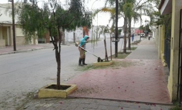 Desmalezan distintos sectores de la ciudad