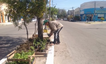 Parques y Paseos trabaja en la parquizaci&oacute;n de avenida Besares