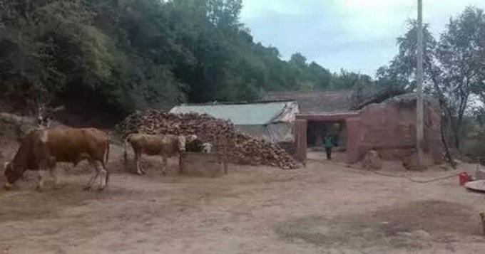 Mat&oacute; a hachazos a sus cuatro hijos y se suicid&oacute;