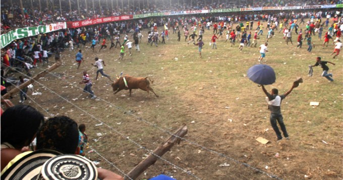 Toro corne&oacute;, arrastr&oacute; y mat&oacute; en medio de una corrida