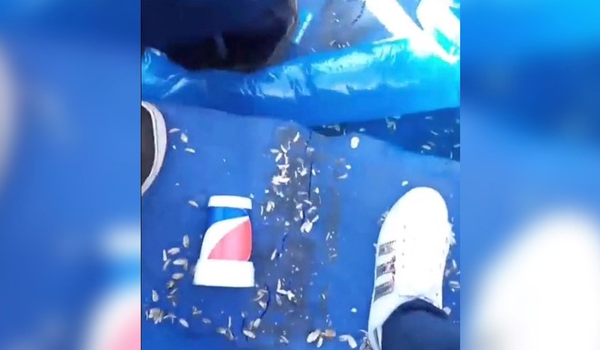 La Bombonera se mueve, literalmente