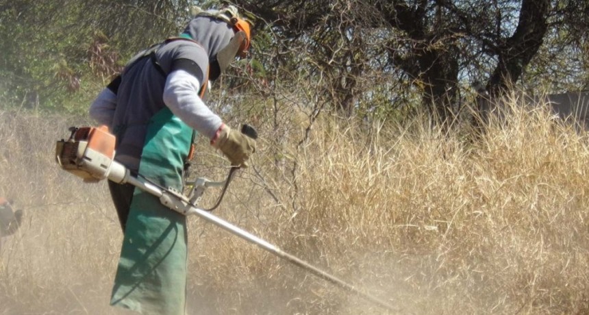Tareas de barrido y limpieza en diferentes sectores de la ciudad