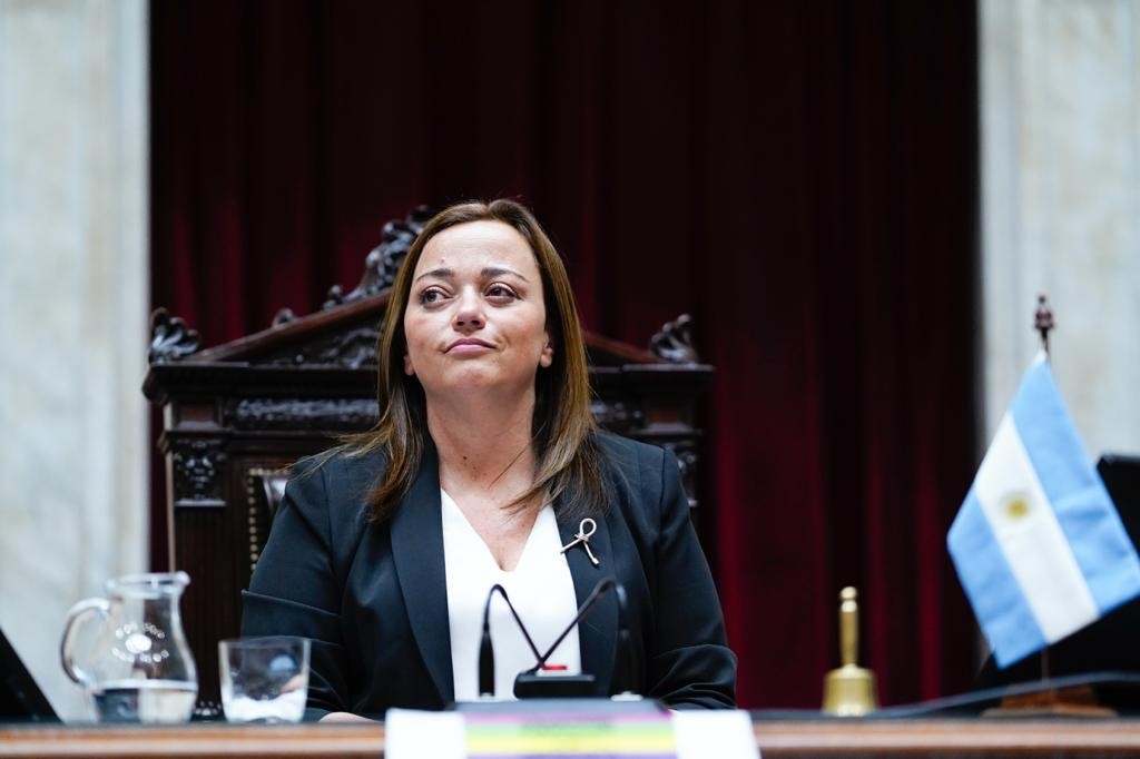  Cecilia Moreau pidió salir de la especulación electoral y que los diputados piensen en el bienestar de los argentinos