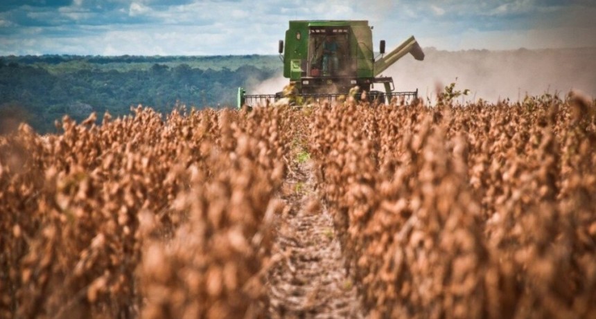 Santiago del Estero sigue posicionándose entre las provincias más exportadoras del país
