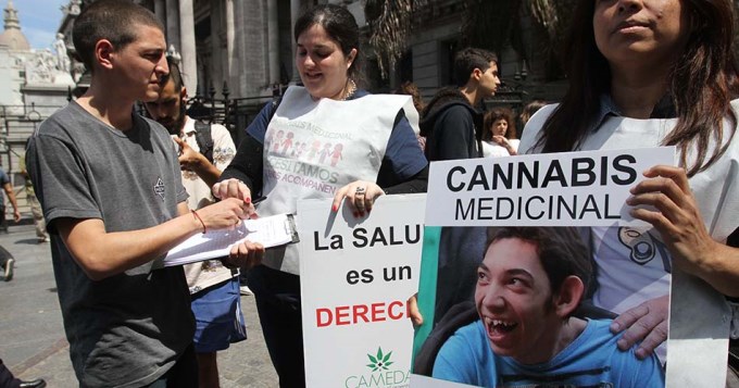 Cannabis: Debaten su uso medicinal