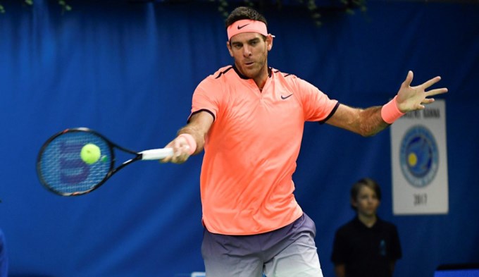 Del Potro grit&oacute; campe&oacute;n en Estocolmo