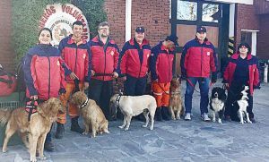 Los bomberos y los perros que encontraron el cuerpo