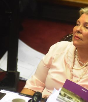 Para Carri&oacute;, "Argentina se va limpiando"