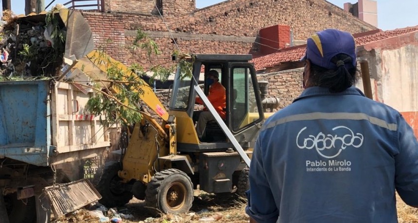 Medio centenar de focos infecciosos fueron eliminados desde que se lanz&oacute; el programa &ldquo;Tu Patio Limpio&rdquo;