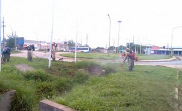  Servicios P&uacute;blicos inicia un importante plan de prevenci&oacute;n de plagas