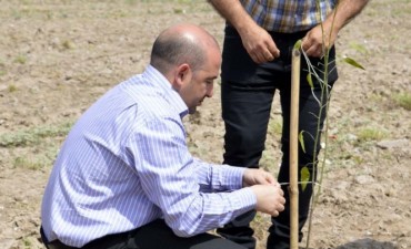 : Mirolo plant&oacute; el &aacute;rbol n&uacute;mero 3600 en el barrio Constituci&oacute;n y anunci&oacute; la creaci&oacute;n de un nuevo espacio verde   
