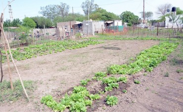Cientos de bande&ntilde;os encontraron en las huertas familiares una forma de hacer frente a la crisis