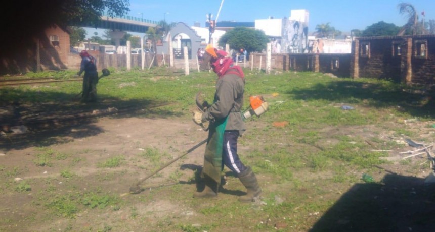 Parques y Paseos realizan operativos de desmalezamiento y reforestaci&oacute;n