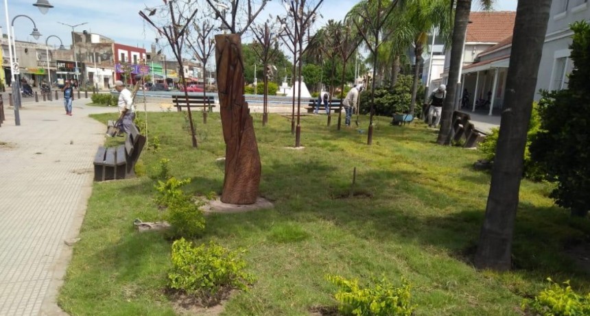 El municipio refuerza el plan de reforestaci&oacute;n y cuidado de espacios verdes