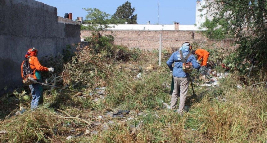 El municipio ejecut&oacute; un nuevo operativo de limpieza en un terreno privado del B&deg; Villa Eloisa