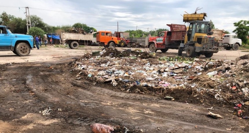 Amplio despliegue municipal para erradicaci&oacute;n un basural en el barrio Los Naranjos