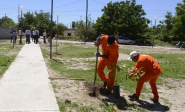 El intendente supervis&oacute; la construcci&oacute;n de una plaza en el barrio Sarmiento   