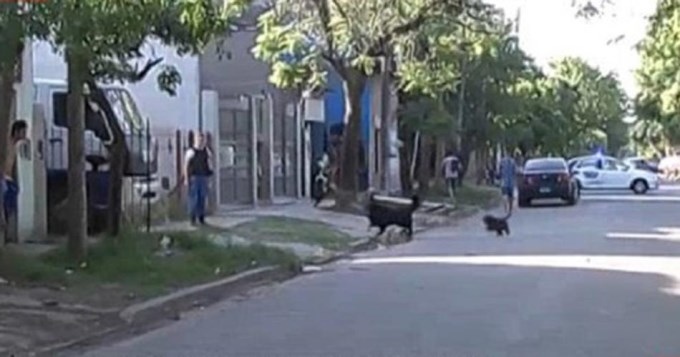 Filicida de Ituzaing&oacute; asesin&oacute; al hijo por obra del demonio