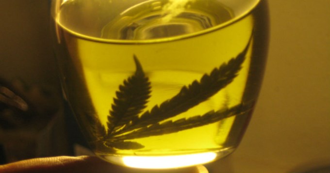 Neuqu&eacute;n aprob&oacute; el uso de cannabis medicinal