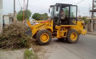  Realizan tareas de desmalezamiento en toda la ciudad