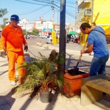Parques y Paseos realiz&oacute; la reposici&oacute;n de plantas en la semi peatonal Alem