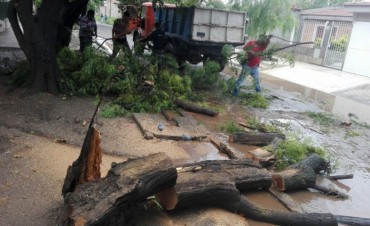 El comit&eacute; de emergencias municipal asisti&oacute; a varias familias afectadas por el temporal