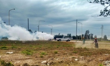 Refuerzan los trabajos de prevenci&oacute;n de proliferaci&oacute;n de plagas en La Banda