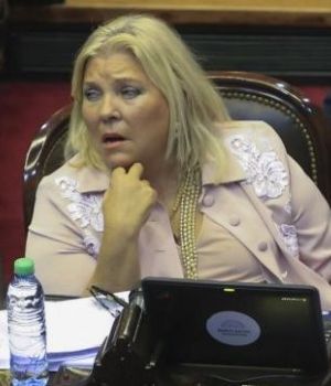 Carri&oacute;, sobre los incidentes: "Eso se llama golpe de estado"