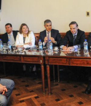 Es oficial la ruptura peronista en el Senado