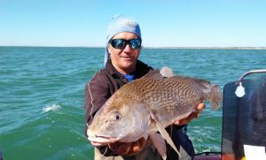 Hay excelente pique en Santa Clara