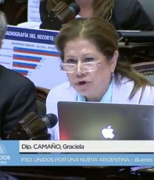 Rechazaron el pedido de vuelta a comisi&oacute;n 