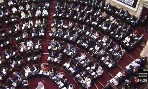 Reforma previsional: tras los incidentes se levant&oacute; la sesi&oacute;n