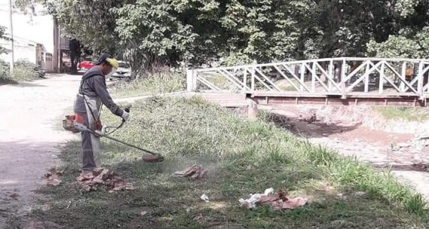 La comuna intensific&oacute; las tareas de desmalezamiento en el balneario y en los barrios de la ciudad