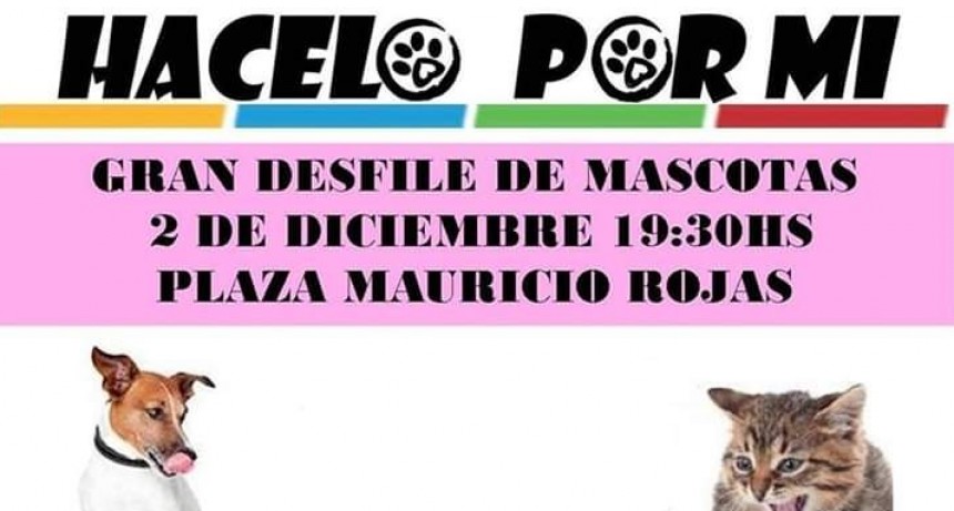 Con un desfile de mascotas finalizar&aacute; la campa&ntilde;a solidaria por el Centro de Rehabilitaci&oacute;n &ldquo;Corazones Callejeros&rdquo;