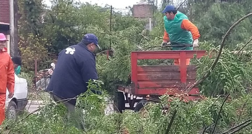  Mirolo: &ldquo;Todo el municipio trabaja para asistir a los damnificados y volver a la normalidad&rdquo;