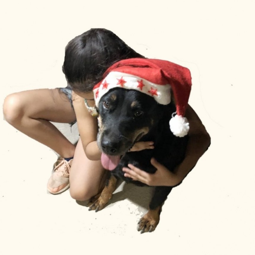 El municipio advierte sobre las consecuencias de la pirotecnia sonora en las mascotas